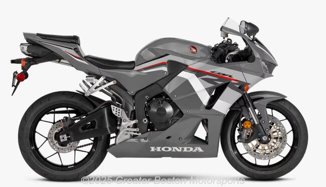 2019 Kawasaki Ninja ZX-10R ZX1002FKF