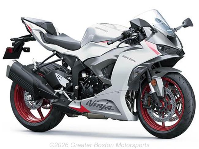 2020 Kawasaki Ninja ZX-6R ZX636HLF